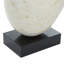 Sculpture décorative abstraite en nacre avec base noire-20525671