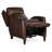 Dunsten Genuine Leather Recliner-1400584522-1400584533