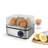HomeCraft Egg Cooker
