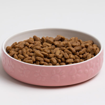 Mason Cash: soucoupe pour animal de compagnie à empreintes de pattes - rose - 5,2 po, 6,8 oz - nourriture pour chat-eau, grès céramique, va au micro-ondes et au lave-vaisselle, repas-hydratation