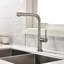 Destro Pull Out Single Handle Kitchen Faucet-70474106