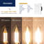 Ampoules DEL B11 équivalentes à 60 watts, culot candélabre E26, intensité variable, 2700K-120190488-120190486