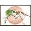 Single Picture Frame Print-1935799582