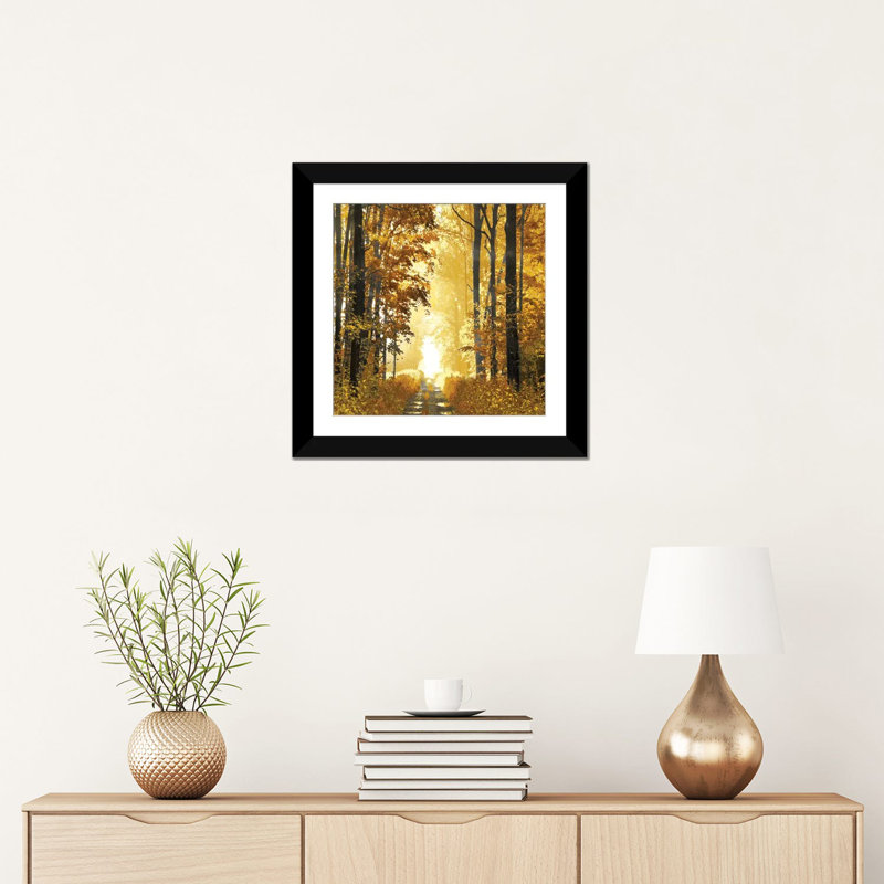 «Sunlit Forest I», impression sur toile, H 16 po x l 16 po x P 1 po, Papier beaux-arts encadré noir, Blanc