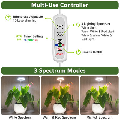 Naomi Grow Light