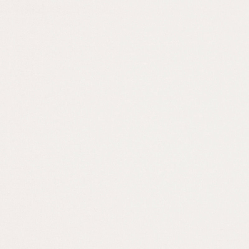Ready-to-Bed Solid Color 100% Lyocell Sham, King Sham, White