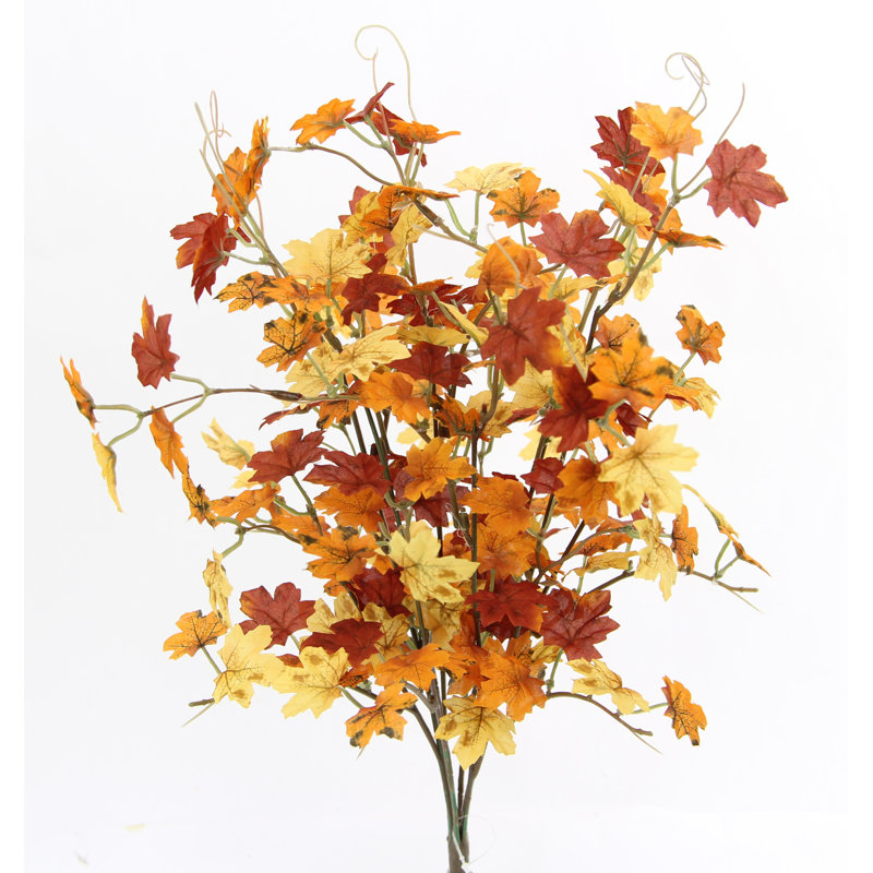 Arrangement, Brown/Yellow