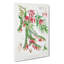 Himalayan Plants XV by W. H. Fitch - Wrapped Canvas Painting Print-55359613