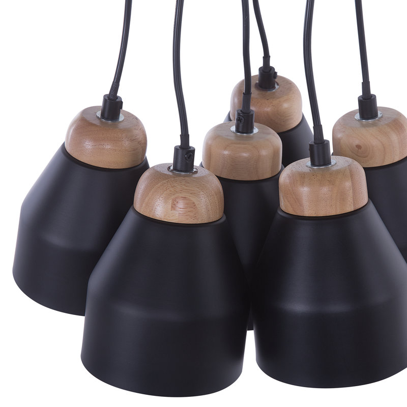 Abrahamson 6 - Light Cluster Pendant, Black
