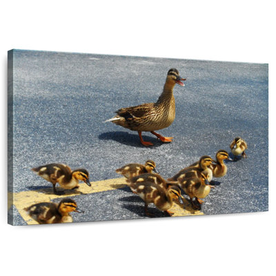 Canetons et mère canard