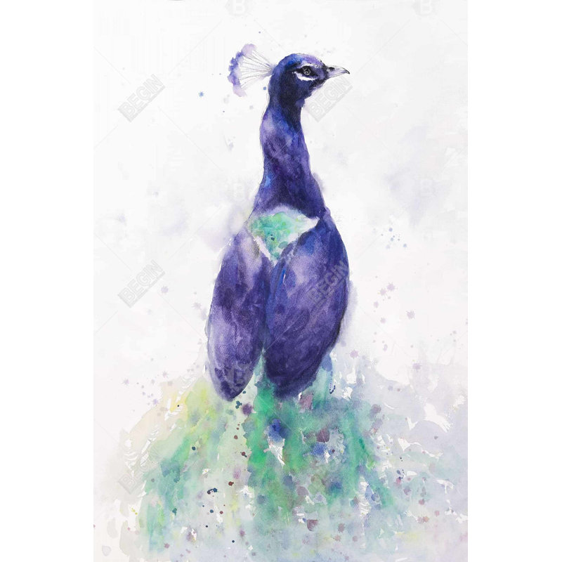 Graceful peacock Bath Mat with Non-Slip Backing - Quick Dry Memory Foam Bathroom Rug - Absorbent - Modern Plush Spa-Style - Machine Washable