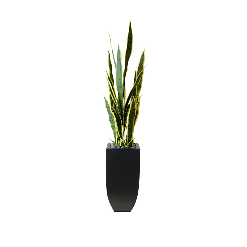 Faux Snake Plant (Sansevieria) Plant in Planter