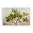 Lemon Tree Branches Giclee Art by RB-1427097742-1427097730