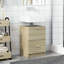 Briell Under Sink Cabinet-648940382