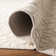 Alvara Area Rug