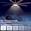 Modern 65'' Double-Sided Blade Windmill Large Ceiling Fan with Dimmable 3CCT LED Lights and Remote Control, 6-Speed Reversible DC Motor, Timer, 4"/10" Downrods, for Indoor/Covered Outdoor-10876940