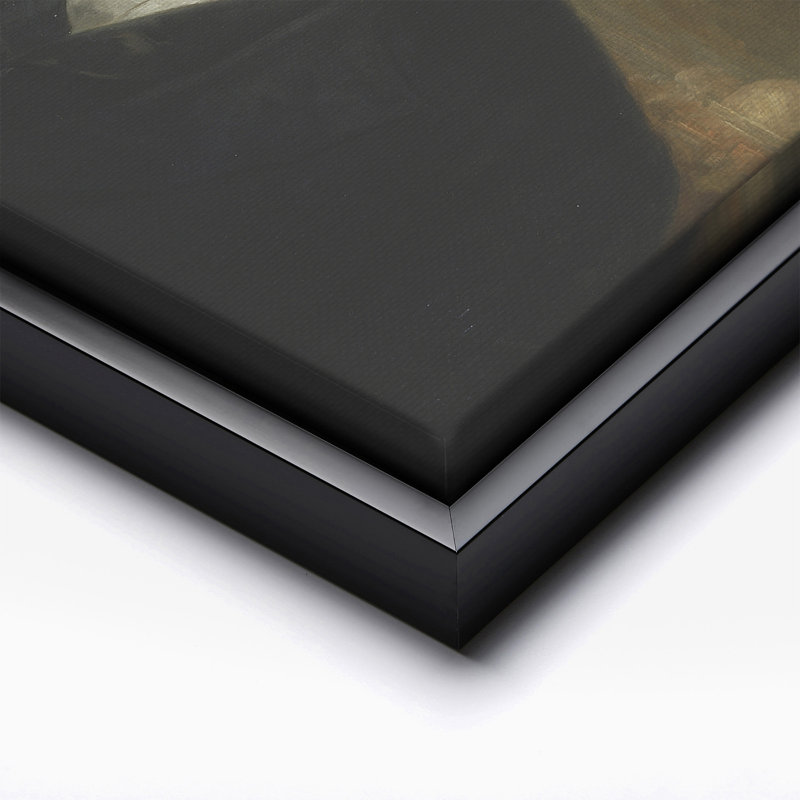 Abraham Lincoln rose gomme à bulles, Black Framed, Canvas, 08"H x 10"W
