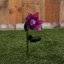 Piquet de jardin Mellon-260584937