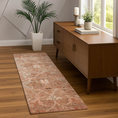 Tapis lavable à la machine intérieur / extérieur ACN2298