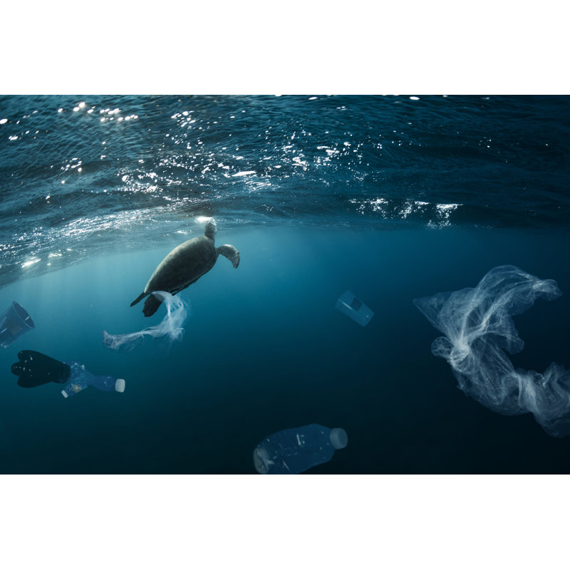Underwater Plastic Rubbish by Jag_cz - Wrapped Canvas Print, 30cm H x 46cm W