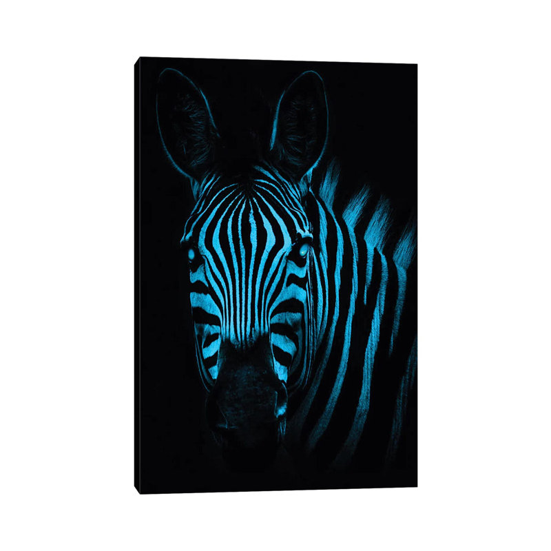 Cool Zebra by Paul Haag - Print on Canvas, 66.04 cm H x 45.72 cm W x 1.91 cm D, Wrapped Canvas