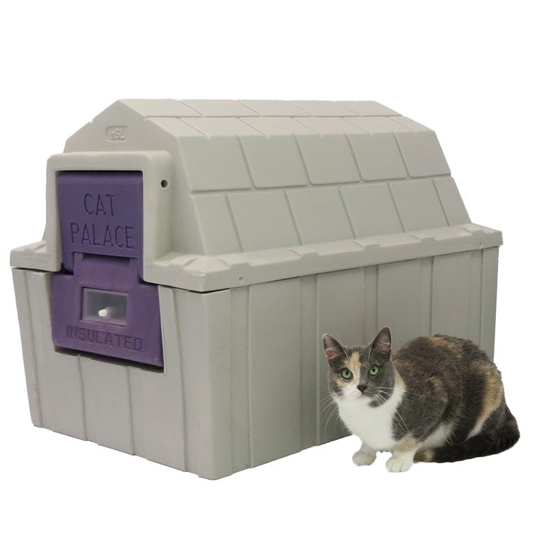 Cat Palace