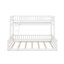 Lit simple superposé au-dessus d'un grand lit simple avec échelle-278555576