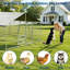 Dog House-2088835231