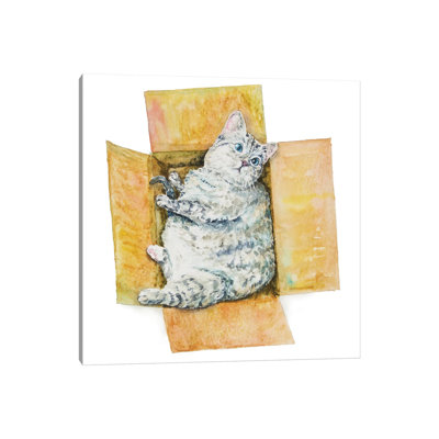 Fat Cat In The Box by Alexey Dmitrievich Shmyrov - Wrapped Canvas Print