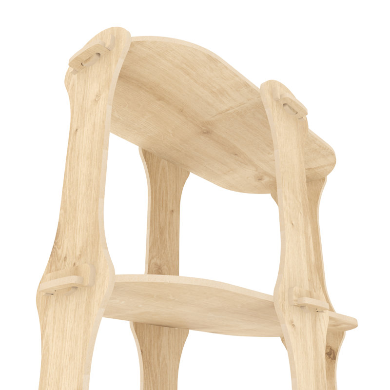 Strawn Bones 136cm H Screwless Design Natural Bookcase