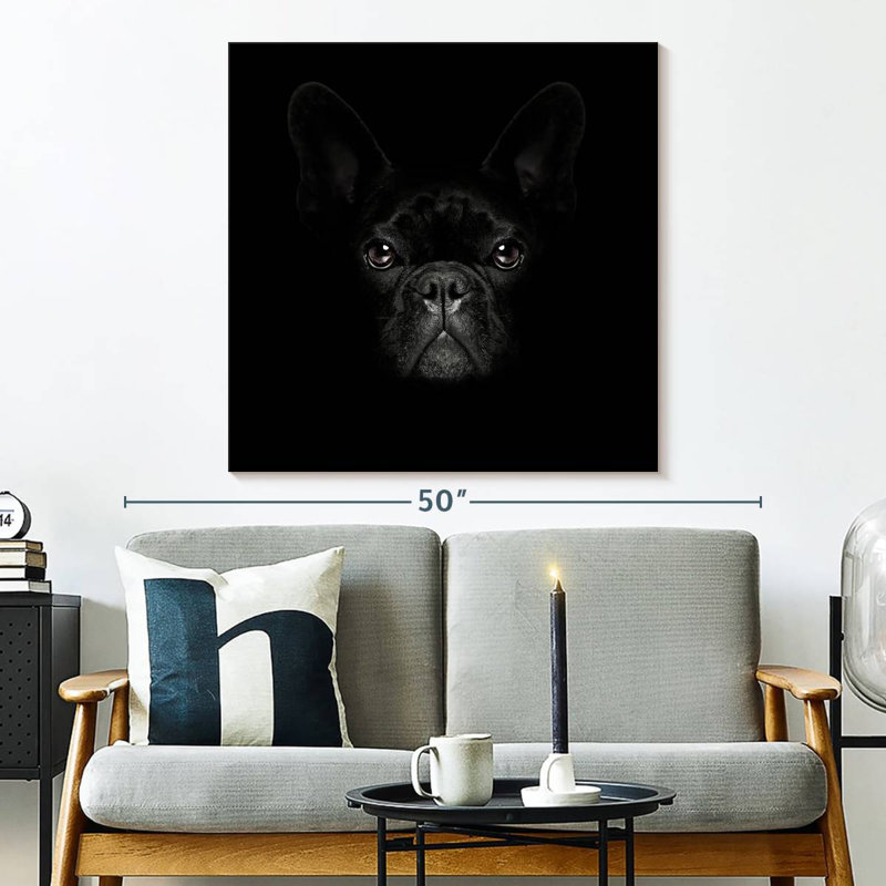 Crowle, bouledogue français mystérieux, H 33 po x l 33 po
