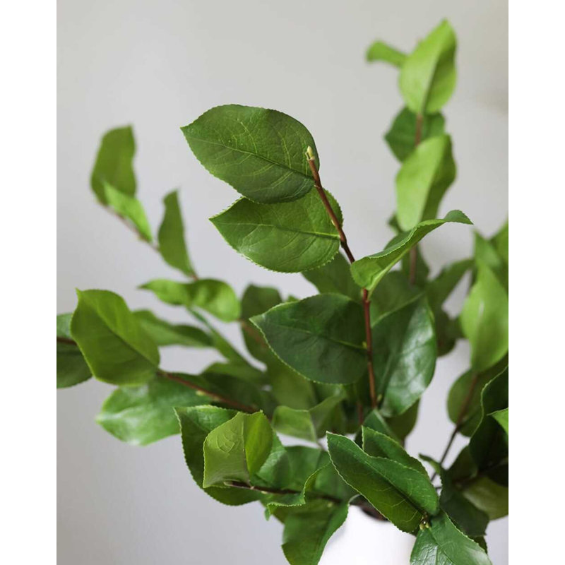 Artificial Salal Leaf Stem 23"