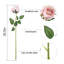Rose Arrangement