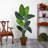 Travelers Palm Artificial Tree in Brown Planter