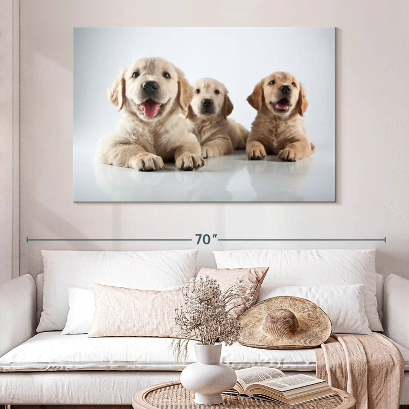 Brampt Golden Retriever de Brampt, H 34 po x l 51 po