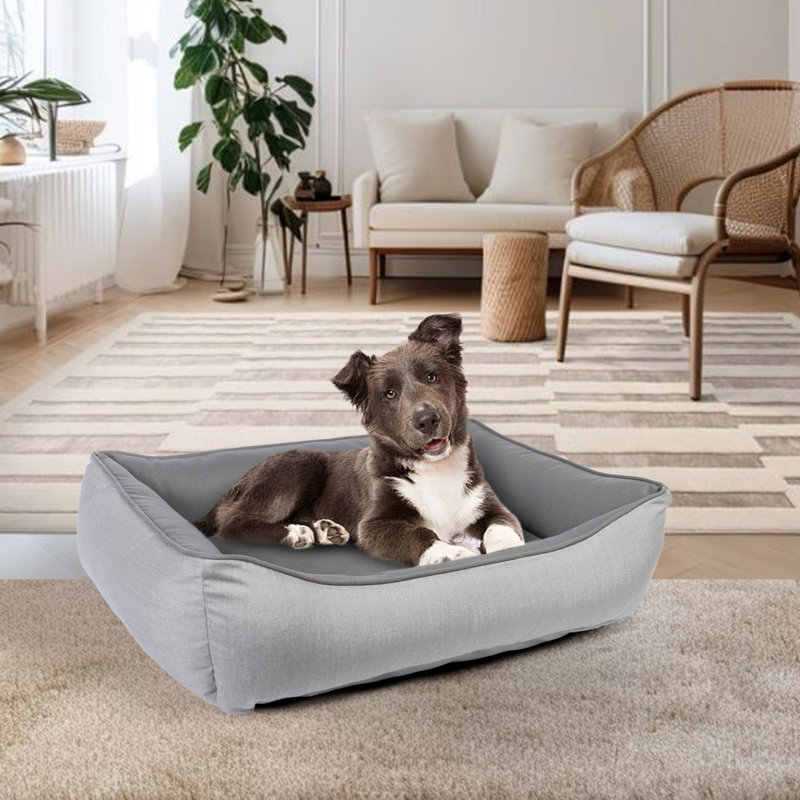 Lit pour animaux Sunbrella, Gris, H 13 po x l 42 po x P 54 po