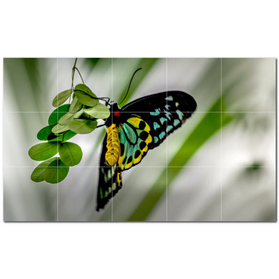 Butterfly Photo 6'' x 6'' Satin Ceramic Decorative Mural