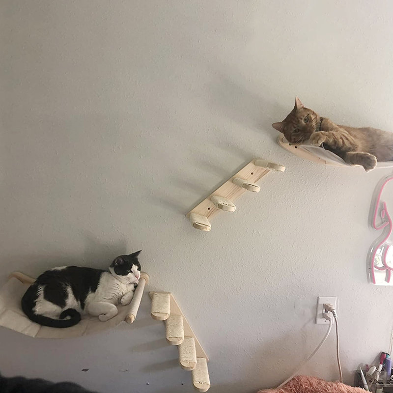 Ensemble de tablettes murales Cat