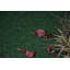Tapis d'extérieur avec pelouse synthétique antidérapante robuste-1119463607