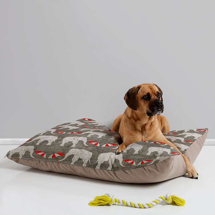 Coussin Darieus