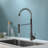Vetta Pull Down Kitchen Faucet-100706003