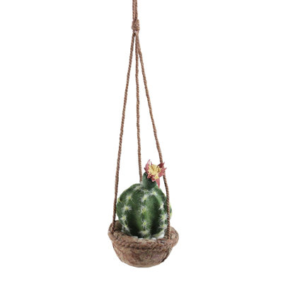 Cactus suspendu en pot vert et brun 7 po avec fleur