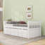 Lit plateforme simple avec lit gigogne et tiroirs-2049905468