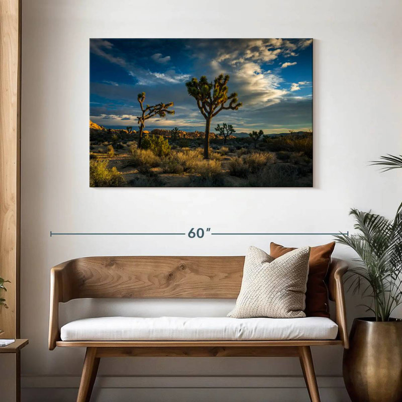 Paysage du parc national Ravi Joshua Tree, H 30 po x l 45 po