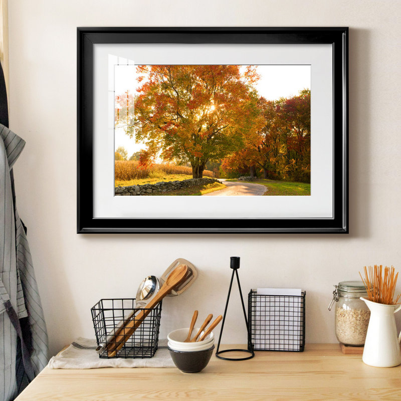 Maple Tree Drive - Photographie avec cadre photo, H 30,5 po x l 42,5 po x P 1,5 po, Cadre noir