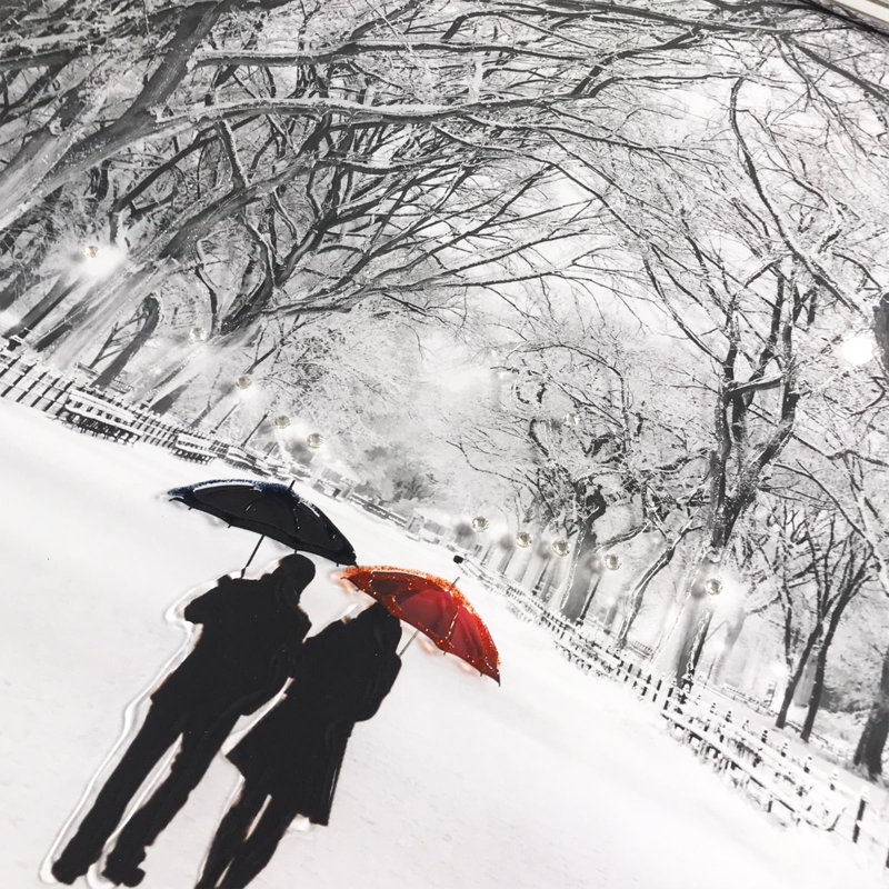 Winter Walk - Single Picture Frame Print
