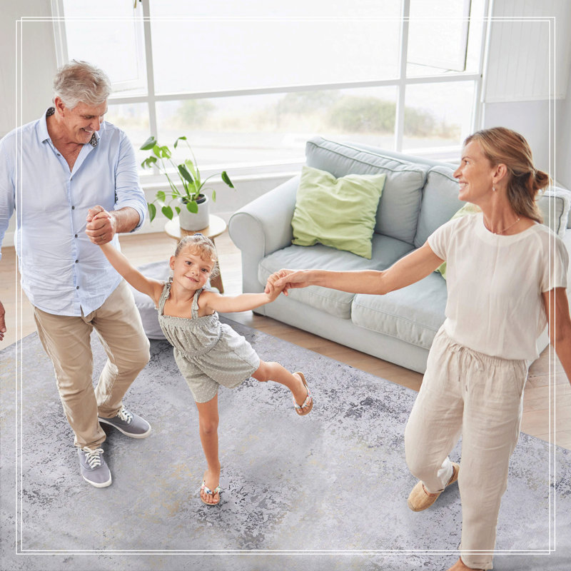 Area Rug, Washable Rug, Low-Pile, Non-Slip, Non-Shedding, Foldable, Kid & Pet Friendly - Area Rugs For Living Room, Bedroom, Kitchen, Dining Room Rug - Perfect Gifts, (Gray/Gold)