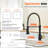 FLG Pull Down Kitchen Faucet