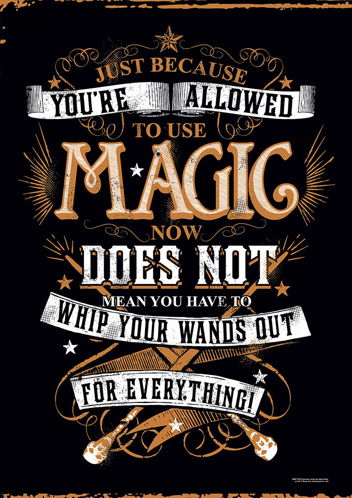 Harry Potter 'Whip Out Your Wand' Textual Art MightyPrint