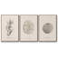 Shore Treasure Study I 3 pièces-97711696-97711694
